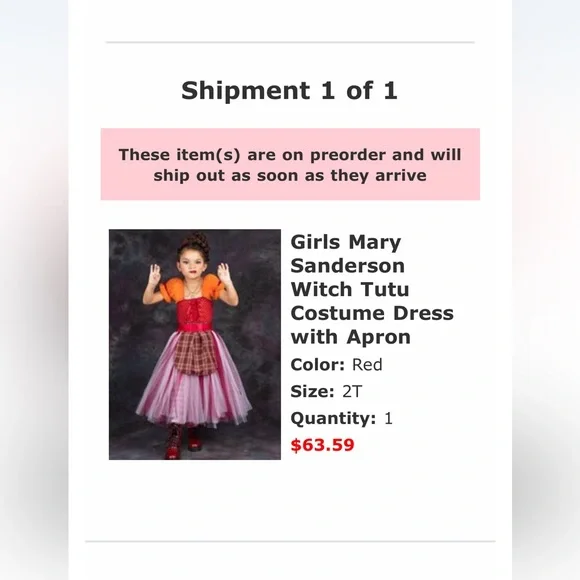 Mia Belle Mary Sanderson 2T Costume - Picture 4 of 4